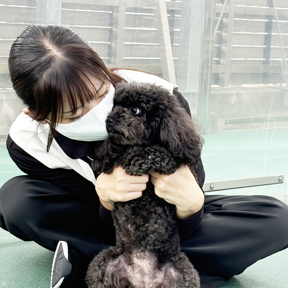 生徒が撮影したモデル犬写真②